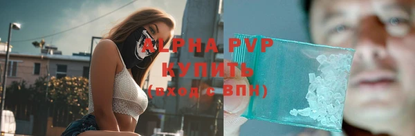 спиды Ладушкин