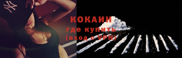 мдпв Лабытнанги