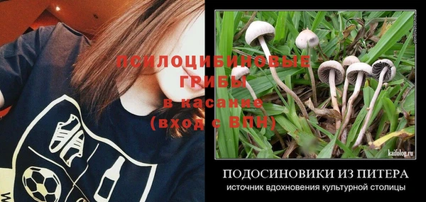 мдпв Лабытнанги