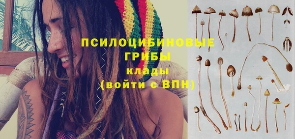 герыч Лагань