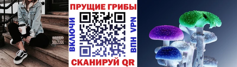 Галлюциногенные грибы MAGIC MUSHROOMS  где купить наркоту  Среднеколымск 